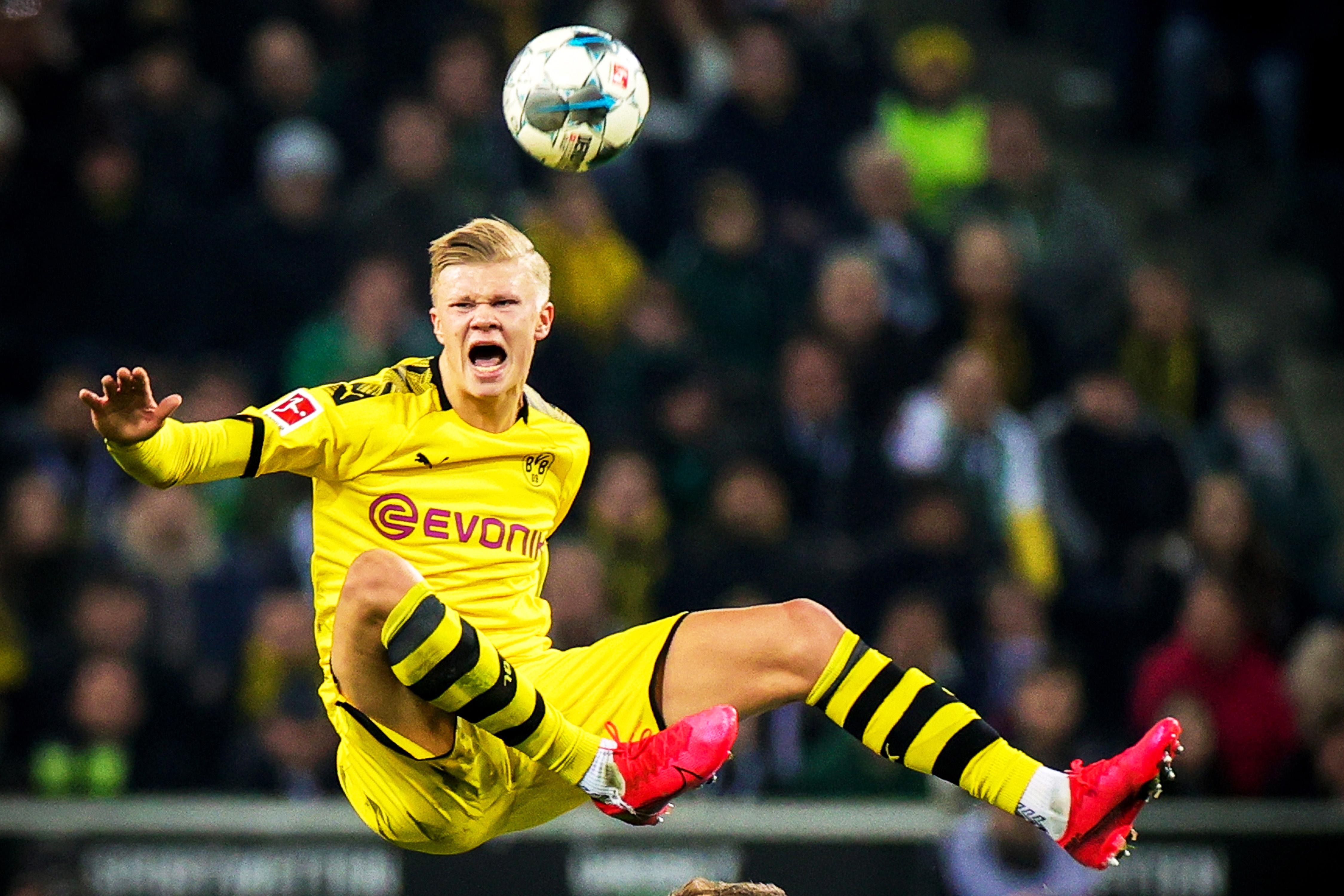 武切维奇28分平赛季最高，本赛季得分20+时公牛4胜1负